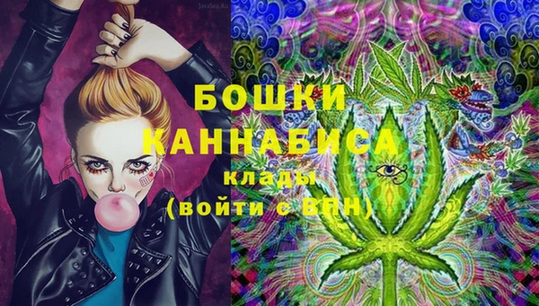 ешки Алексин