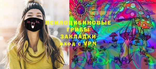 ешки Алексин
