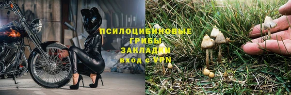 ешки Алексин