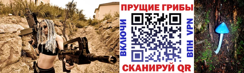 купить   Балашов  Псилоцибиновые грибы мухоморы 